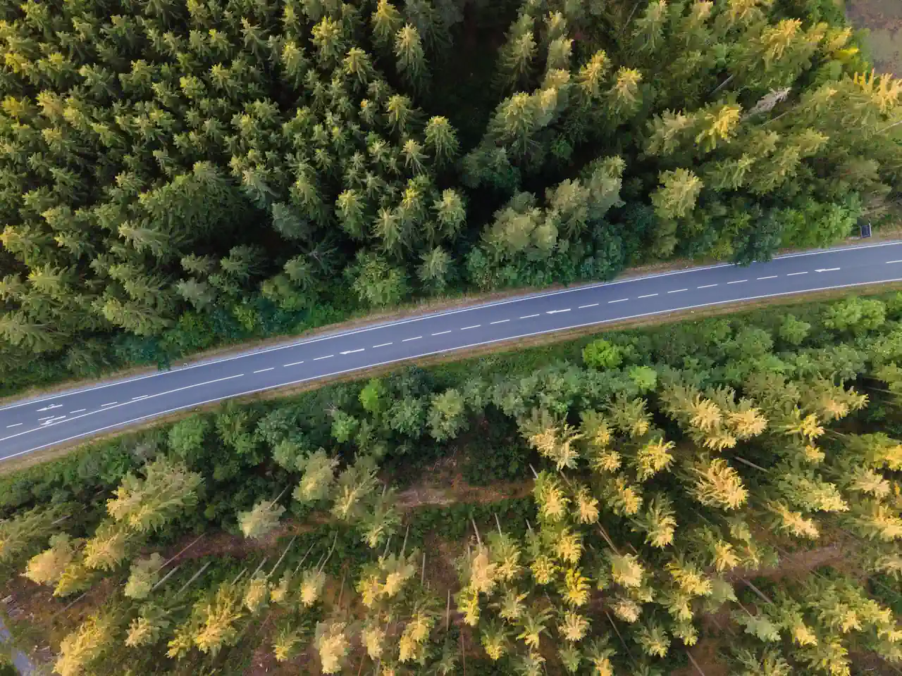 Generative AI Performance Reports: How to Track Your Impressions Inside AI Overviews and AI Mode
