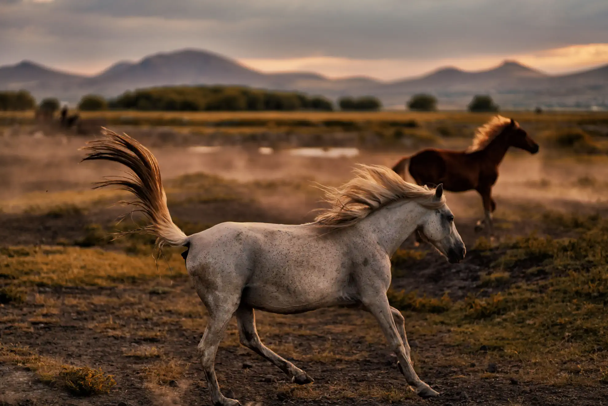 TechBOS vs. HubSpot: The All-in-One for Small to Medium Business Owners